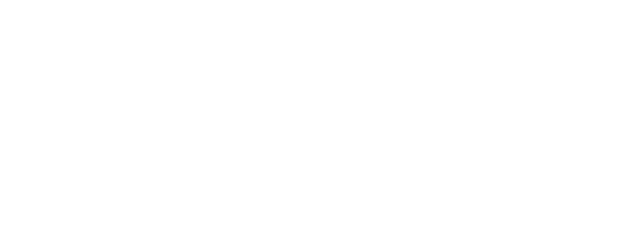 森点纹发